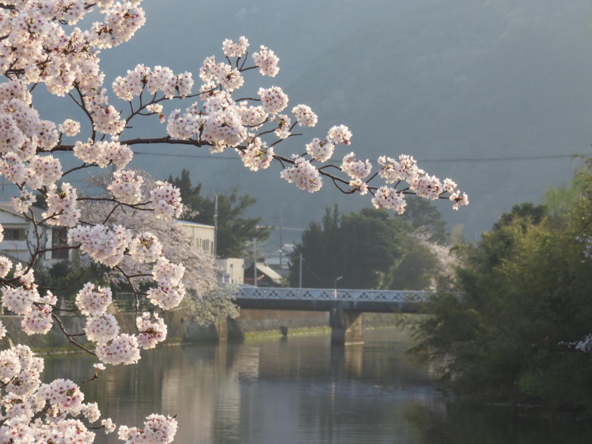 御宿しんしま Matsuzaki  Luaran gambar